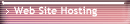 Web Site Hosting