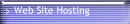 Web Site Hosting